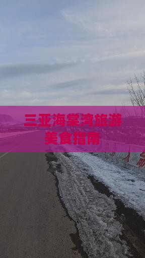 泰州去三亚海棠湾旅游小吃
