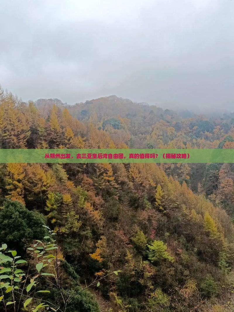 朔州出发三亚皇后湾自由团
