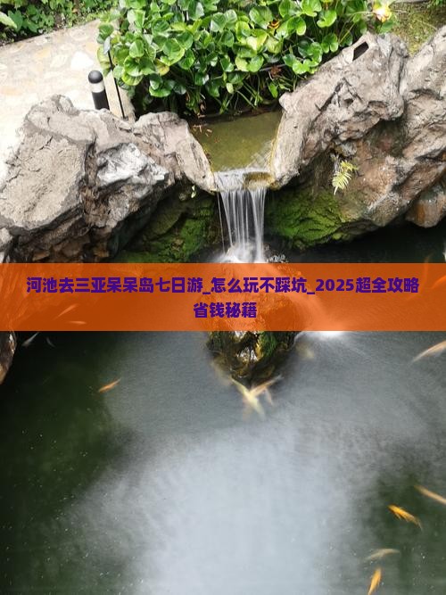 河池去三亚呆呆岛七日游 河池去三亚呆呆岛七日游