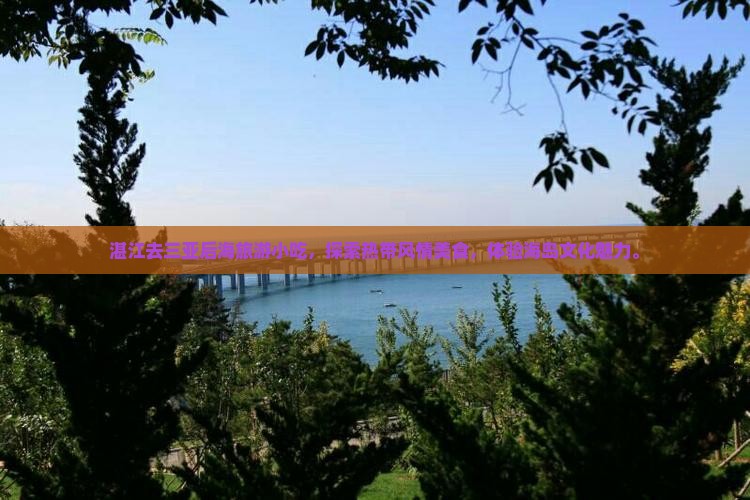 湛江去三亚后海旅游小吃