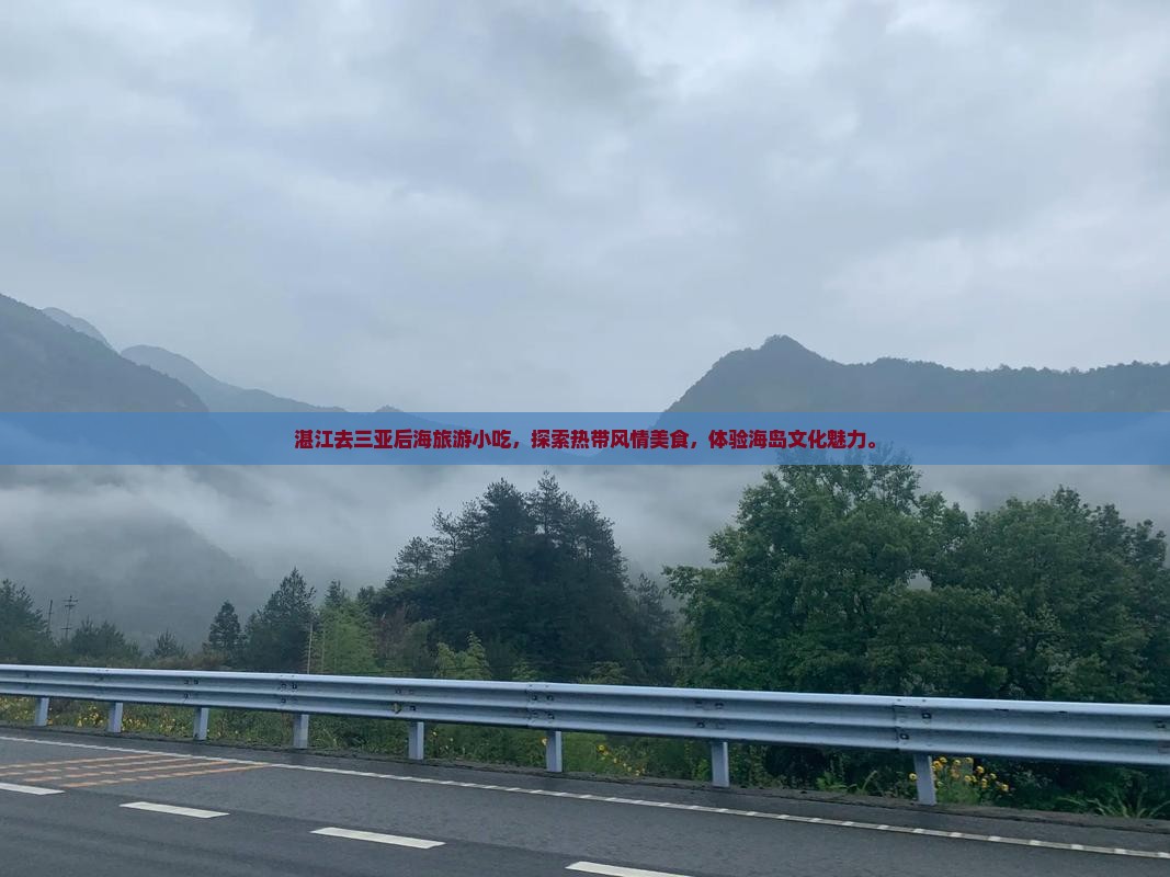 湛江去三亚后海旅游小吃