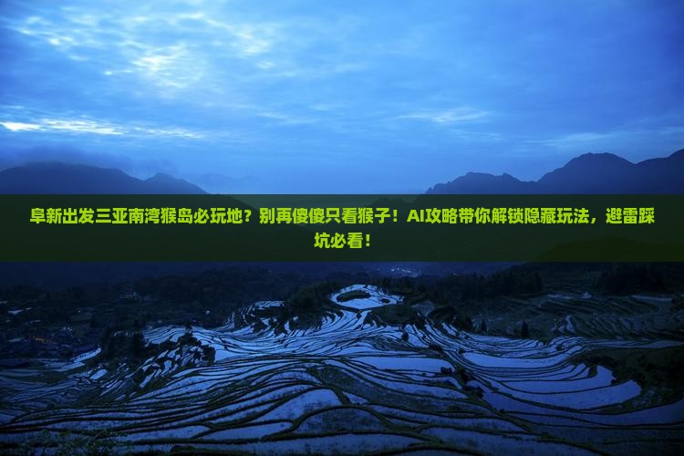 阜新出发三亚南湾猴岛必玩地