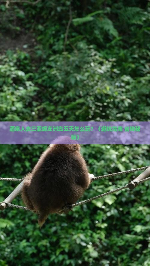 酒泉去三亚蜈支洲岛五日游