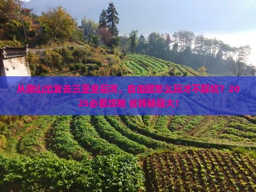 唐山去三亚皇后湾自由团