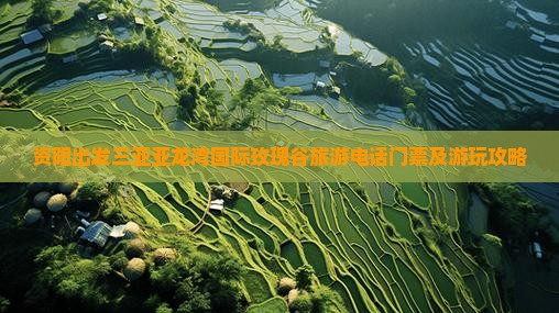 资阳出发三亚亚龙湾国际玫瑰谷旅游