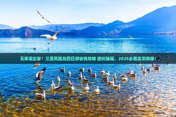 五家渠去三亚凤凰岛四日游