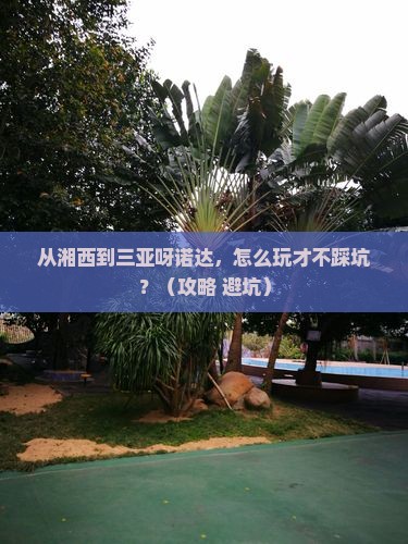湘西去三亚呀诺达景区哪里玩