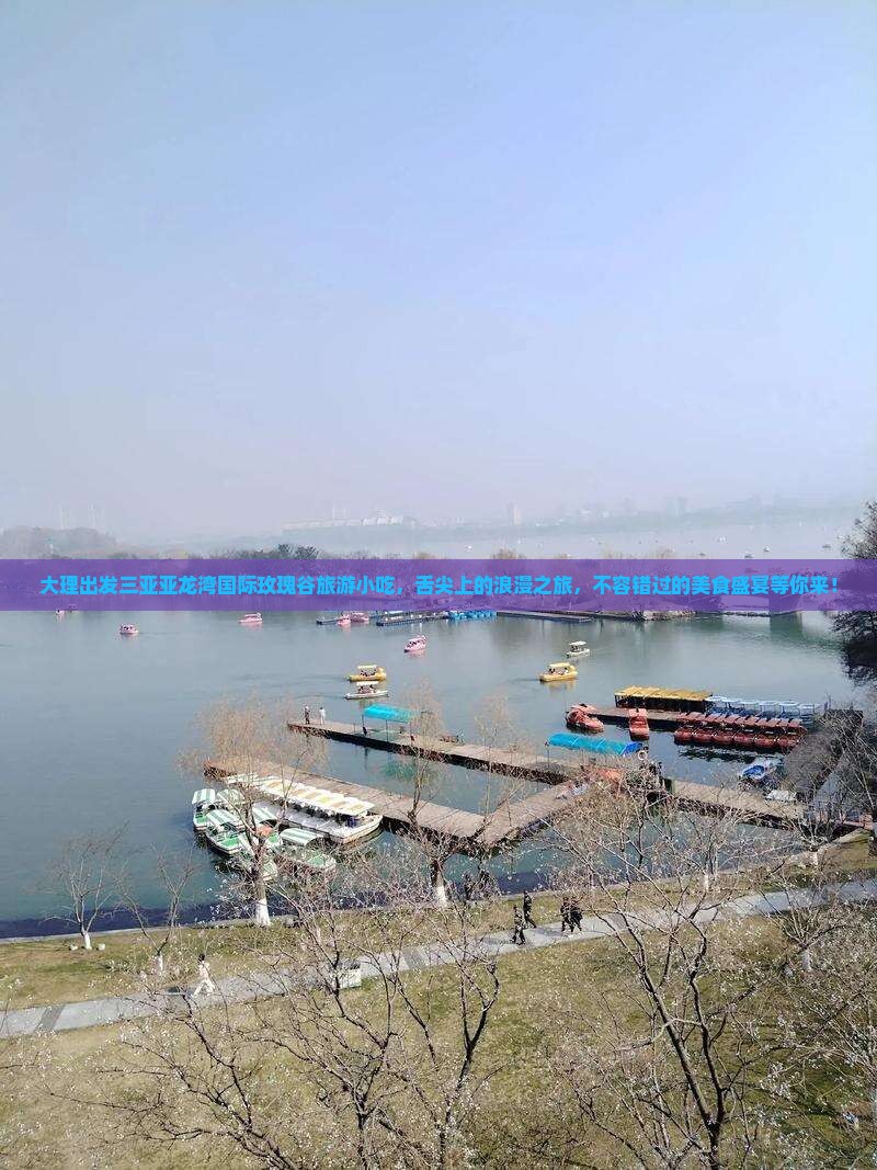 大理出发三亚亚龙湾国际玫瑰谷旅游小吃