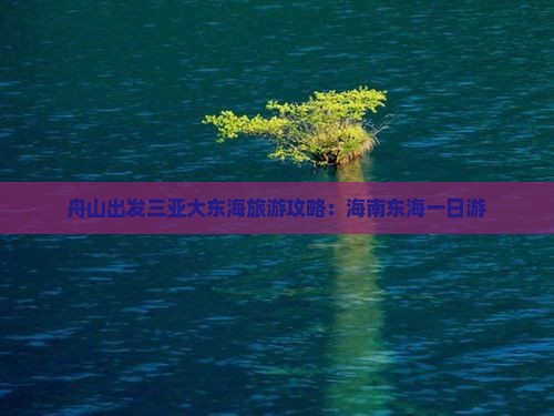 舟山去三亚大东海一日游