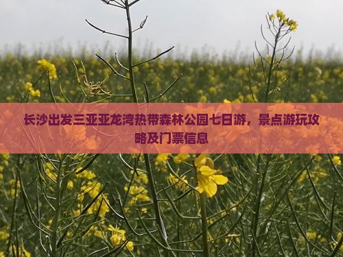长沙出发三亚亚龙湾热带森林公园七日游