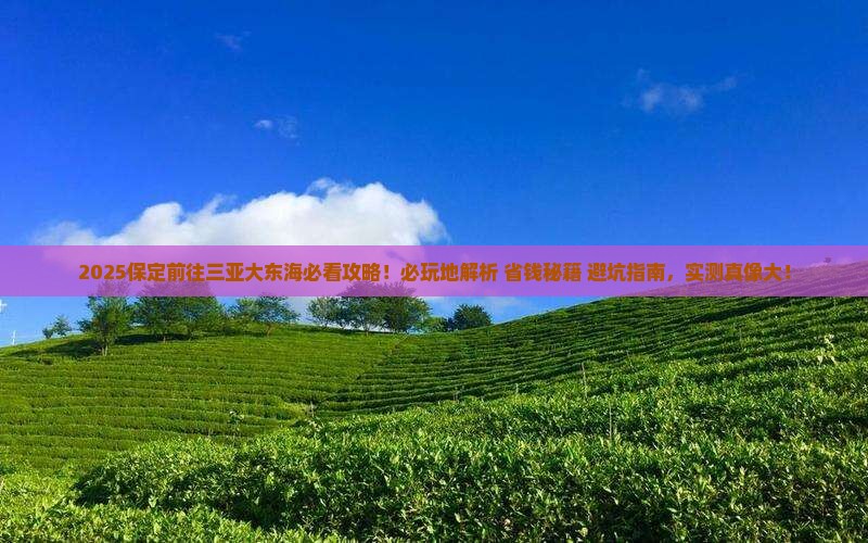 保定前往三亚大东海必玩地