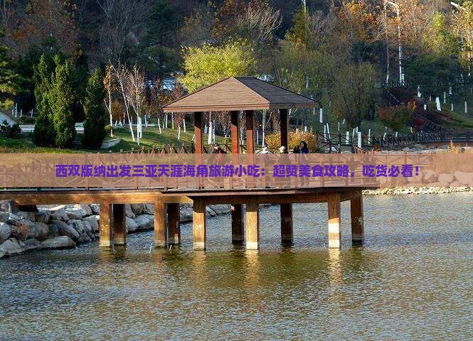 西双版纳出发三亚天涯海角旅游小吃
