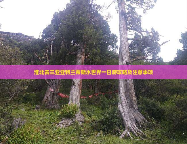 淮北去三亚亚特兰蒂斯水世界一日游