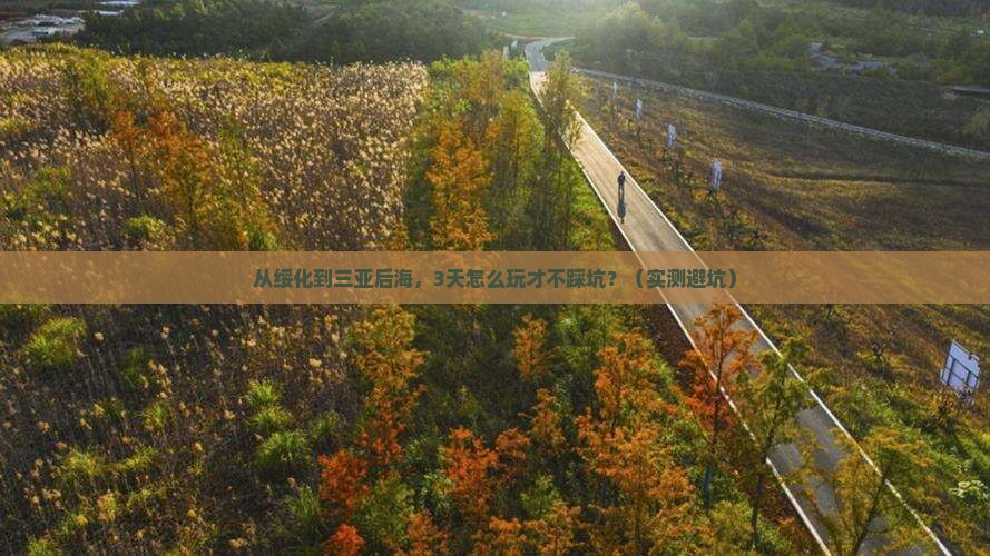 绥化前往三亚后海旅游打卡点