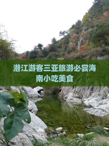 潜江去三亚天涯海角旅游小吃