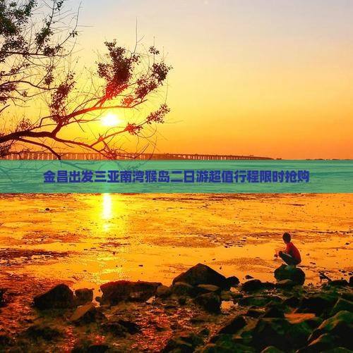 金昌出发三亚南湾猴岛二日游