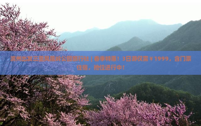滨州出发三亚凤凰岭公园旅行社