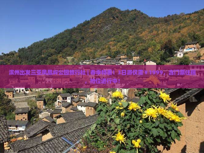 滨州出发三亚凤凰岭公园旅行社