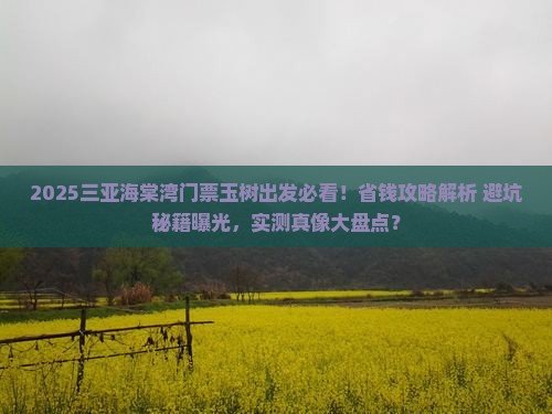 玉树出发三亚海棠湾门票