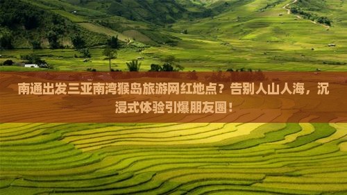 南通出发三亚南湾猴岛旅游网红地点