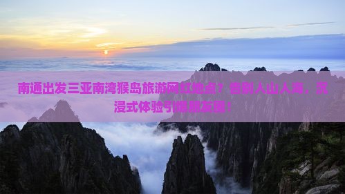 南通出发三亚南湾猴岛旅游网红地点