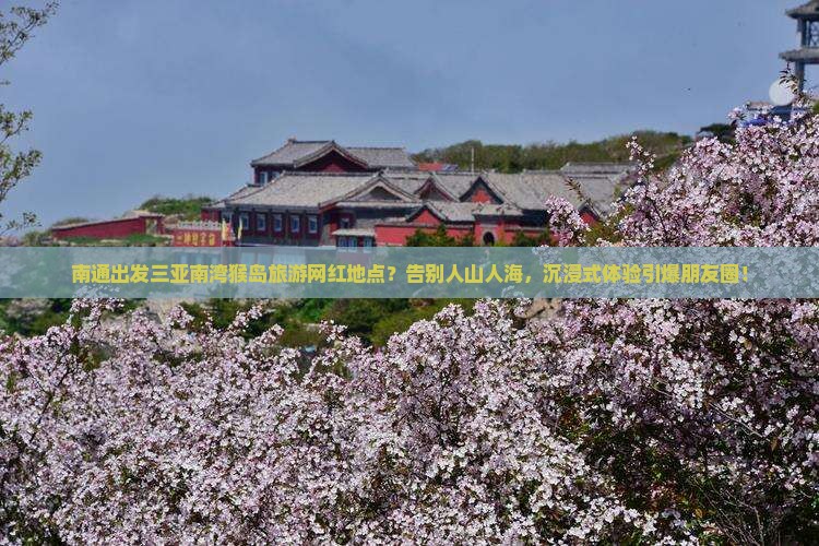 南通出发三亚南湾猴岛旅游网红地点