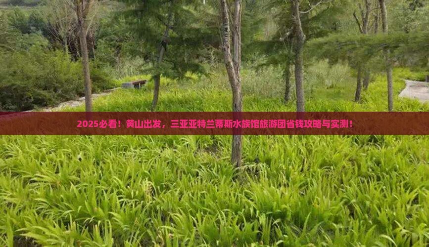黄山前往三亚亚特兰蒂斯水族馆大型旅游团
