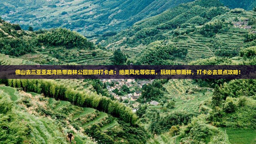 佛山去三亚亚龙湾热带森林公园旅游打卡点