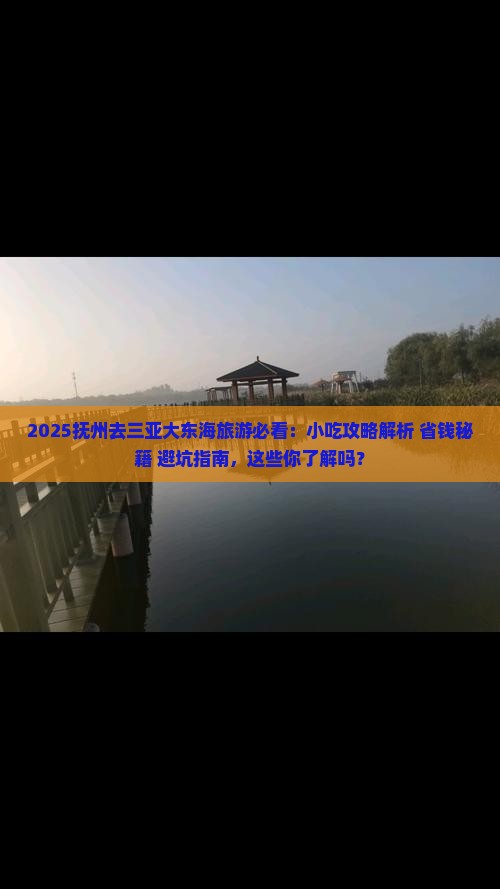 抚州去三亚大东海旅游小吃