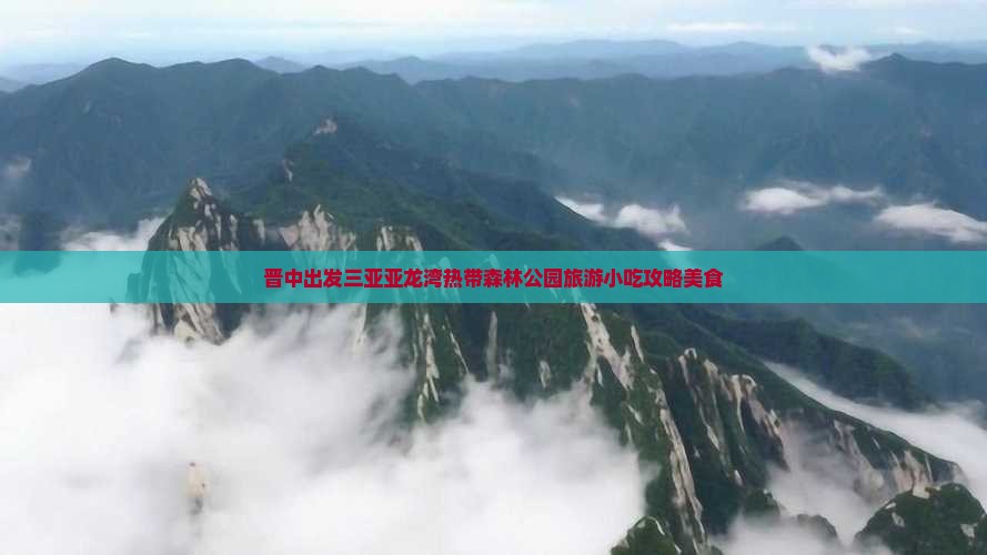 晋中出发三亚亚龙湾热带森林公园旅游小吃