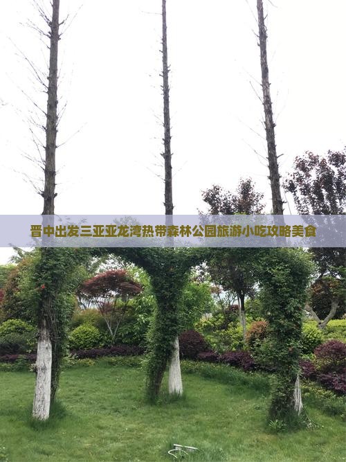 晋中出发三亚亚龙湾热带森林公园旅游小吃