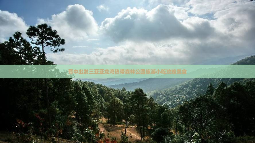 晋中出发三亚亚龙湾热带森林公园旅游小吃