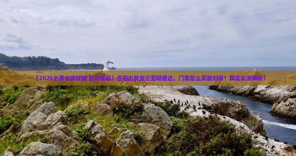 岳阳去三亚呀诺达景区门票