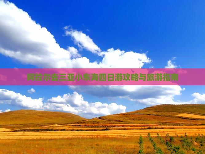 阿拉尔去三亚小东海四日游