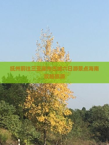 抚州前往三亚崖洲古城六日游