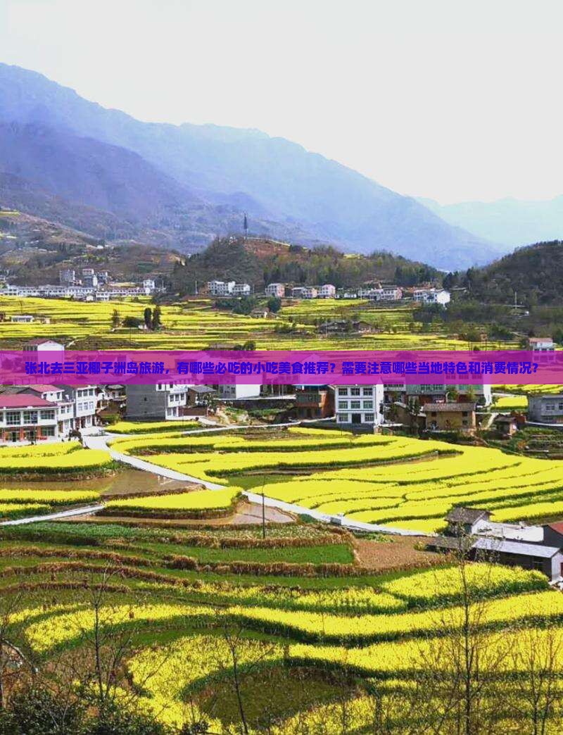 张北前往三亚椰子洲岛旅游小吃