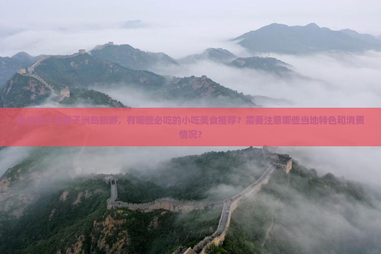 张北前往三亚椰子洲岛旅游小吃