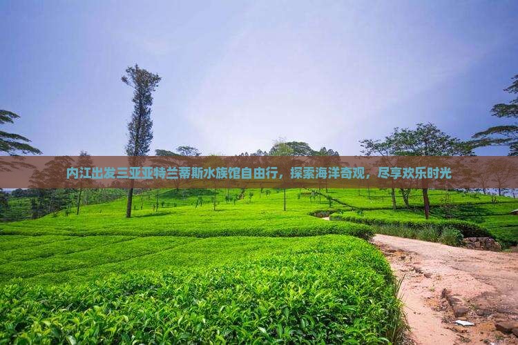 内江出发三亚亚特兰蒂斯水族馆自由行