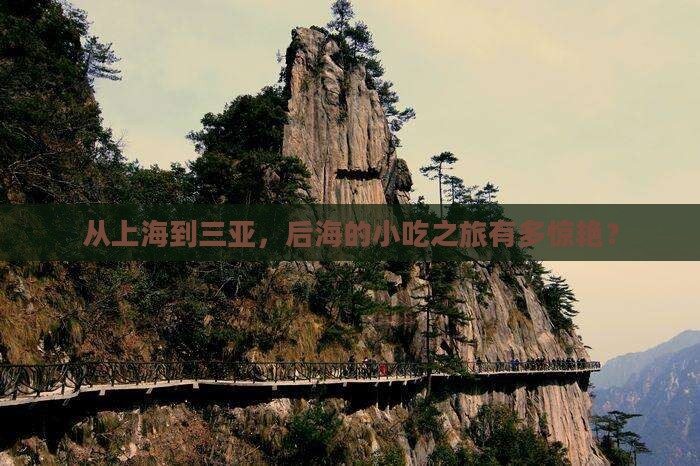 上海出发三亚后海旅游小吃