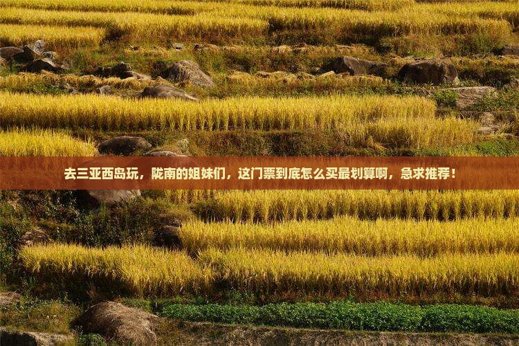 陇南去三亚西岛门票