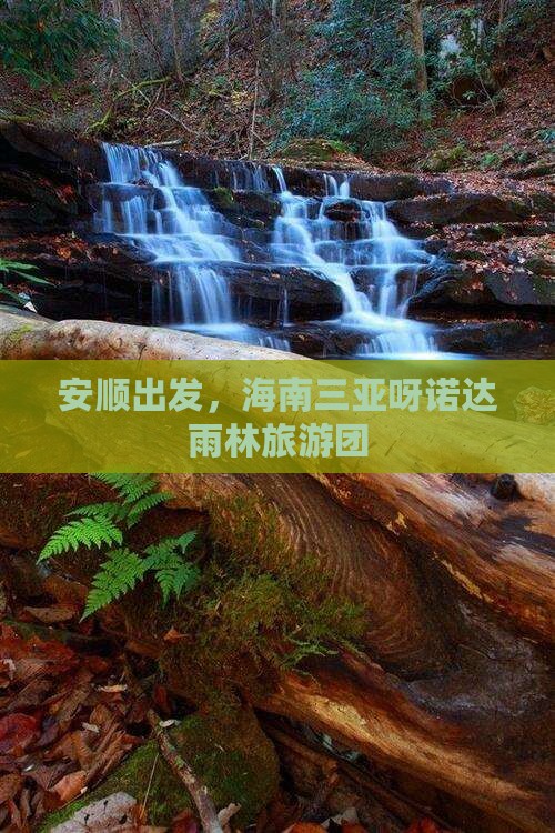 安顺去三亚呀诺达景区大型旅游团