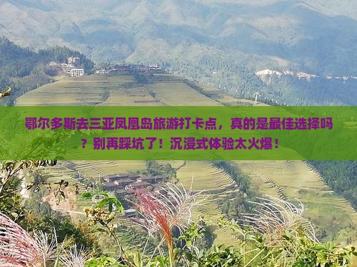 鄂尔多斯去三亚凤凰岛旅游打卡点