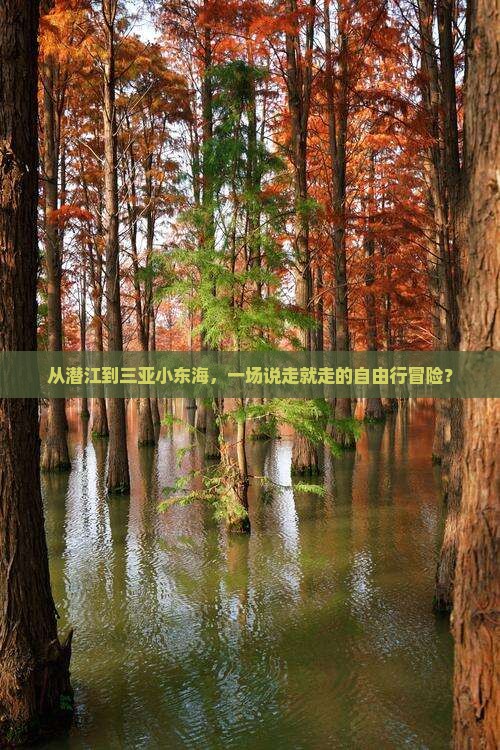 潜江前往三亚小东海自由行 潜江前往三亚小东海自由行