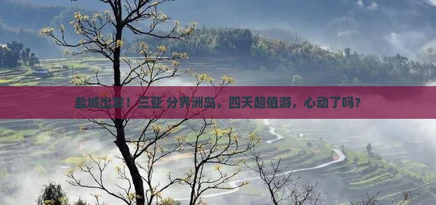 盐城去三亚分界洲岛四日游