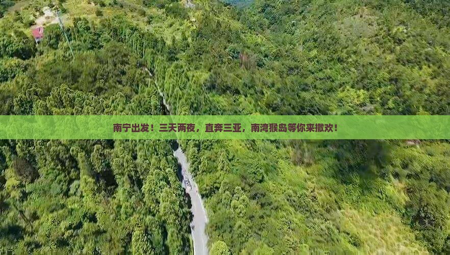 南宁前往三亚南湾猴岛四日游