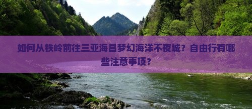 铁岭前往三亚海昌梦幻海洋不夜城自由团