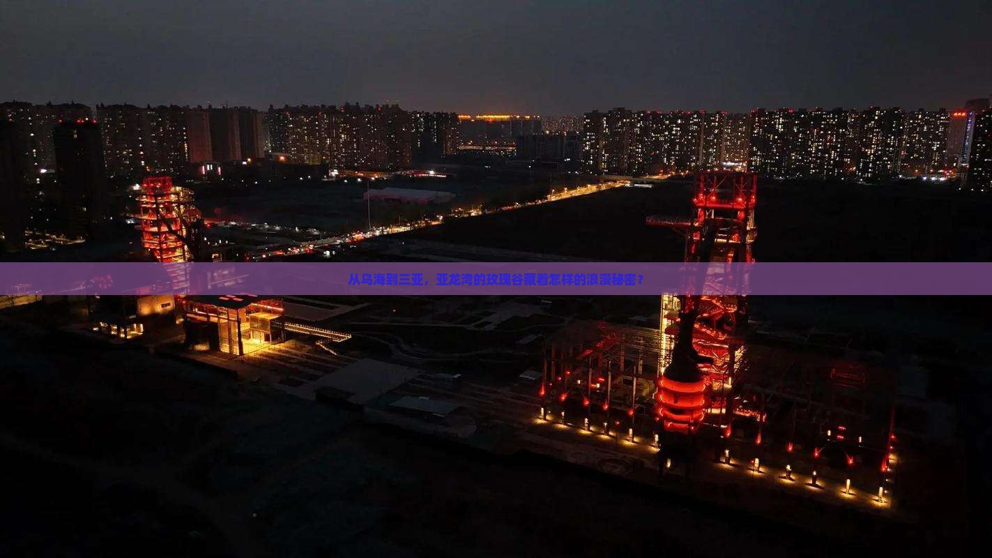 乌海市出发三亚亚龙湾国际玫瑰谷个人游