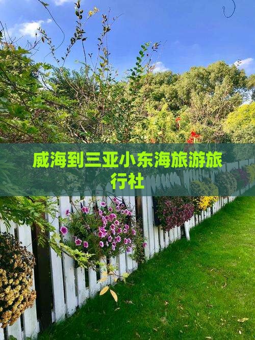 威海去三亚小东海旅行社