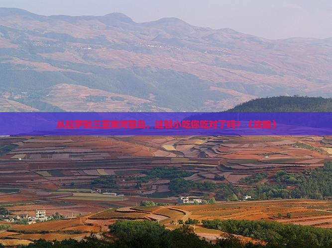 拉萨前往三亚南湾猴岛旅游小吃