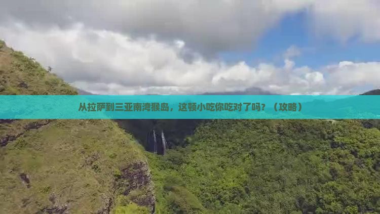 拉萨前往三亚南湾猴岛旅游小吃